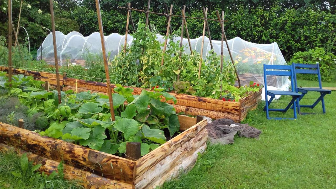 헬싱보리 Vasatorps Matologi B&B 외부 사진