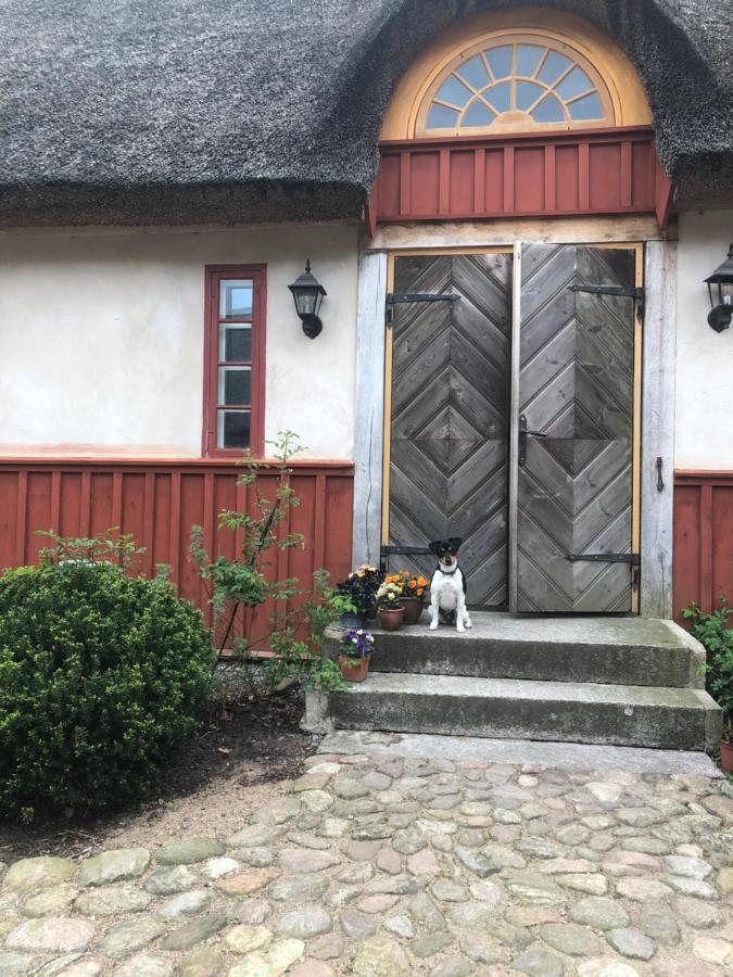 헬싱보리 Vasatorps Matologi B&B 외부 사진